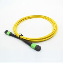MTP / MPO Singlemode 24cores Fiber Optic Patchkabel